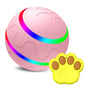 Wicked Ball