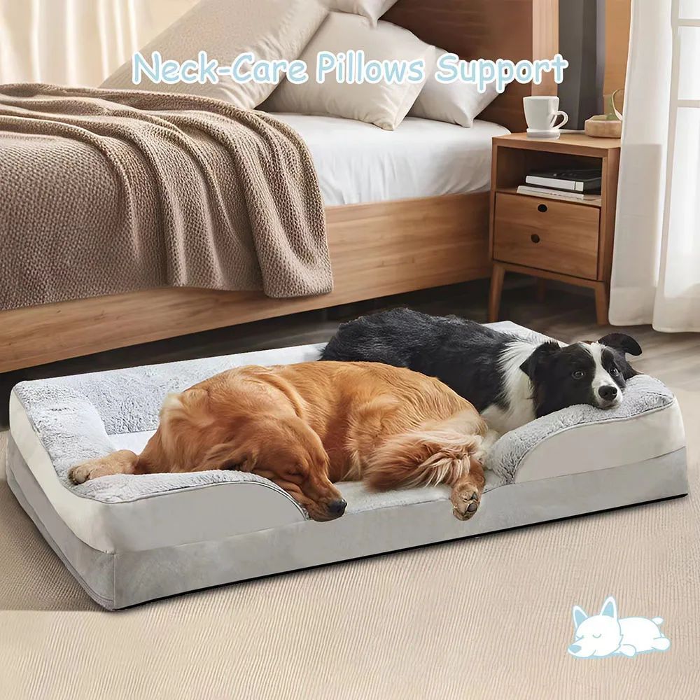 Bed Sofa
