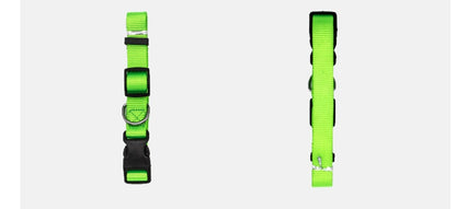Pet Collar