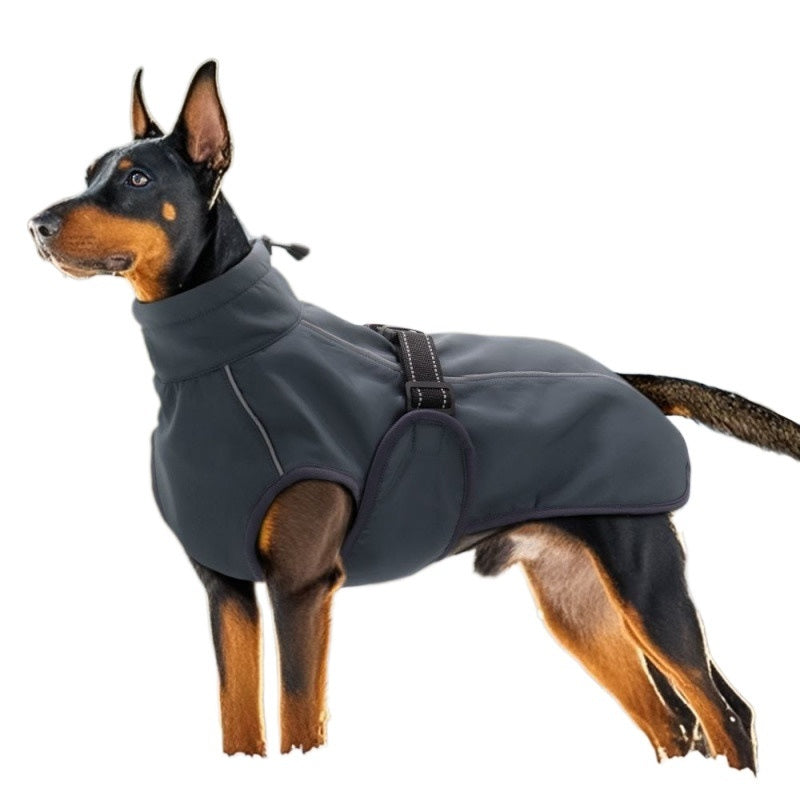 Teddy Autumn And Winter Clothing