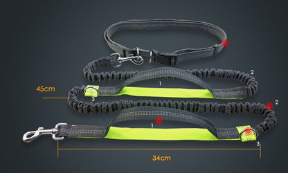 Running reflective pull leash