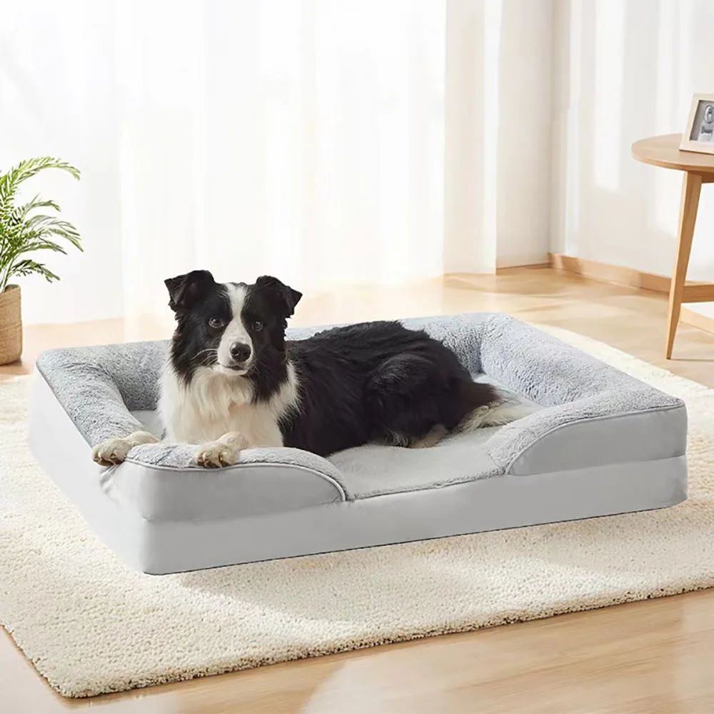 Bed Sofa