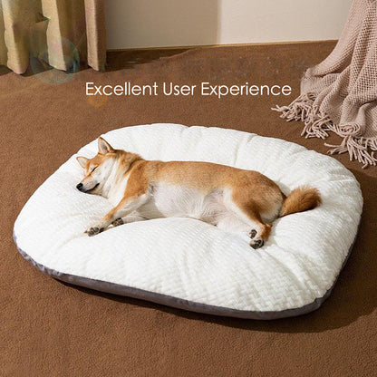 Oval Shape Cushion