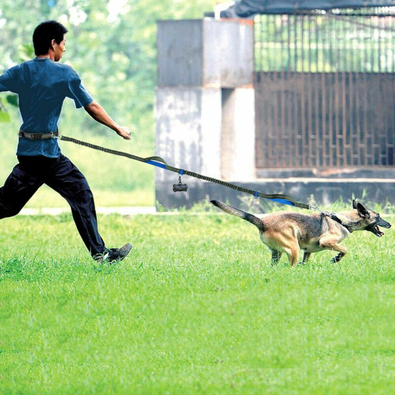 Running reflective pull leash