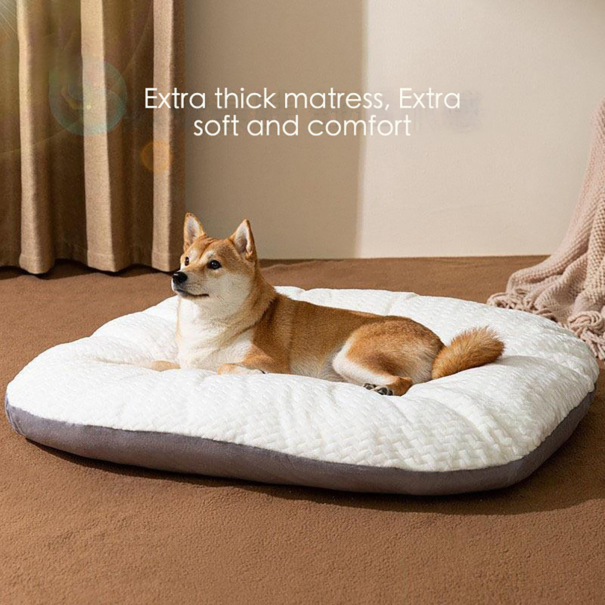 Oval Shape Cushion