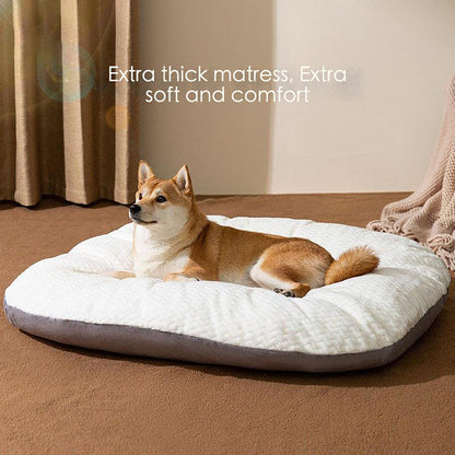 Oval Shape Cushion