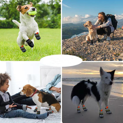 Pet Shoes Outdoor Travel