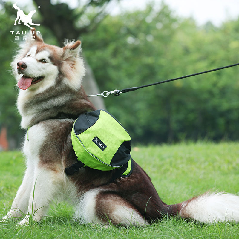Pet outdoor self backpack