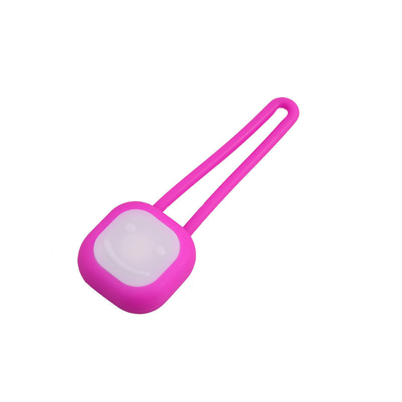 Pet Light-emitting Pendant