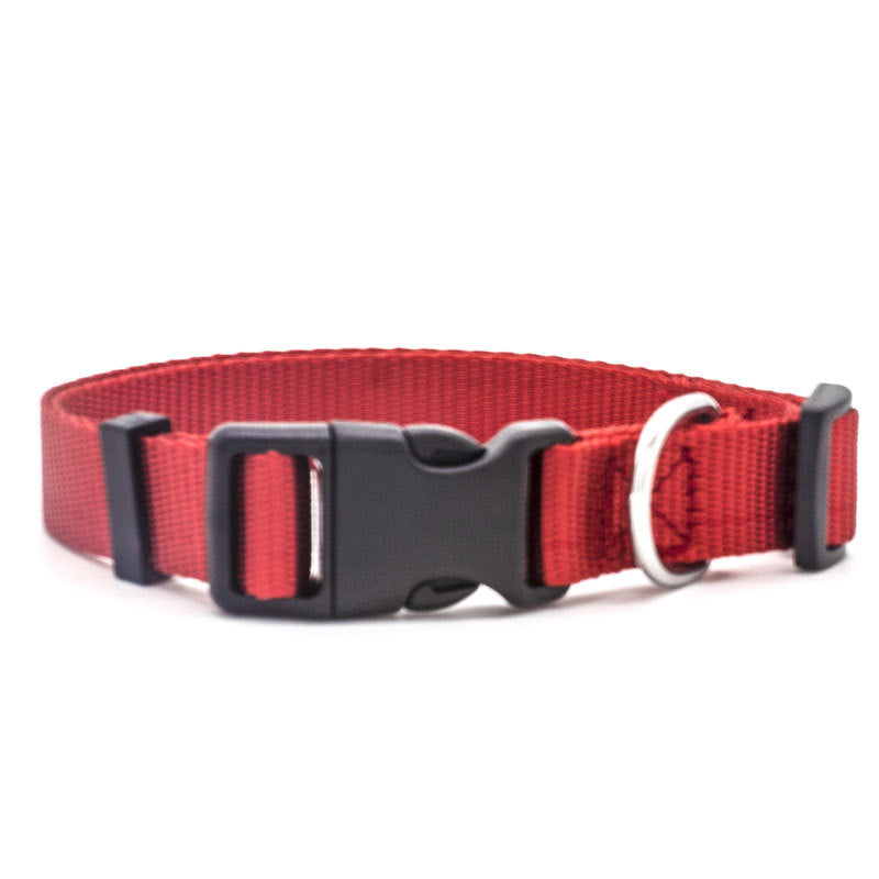 Pet Collar