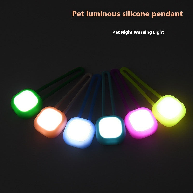 Pet Light-emitting Pendant