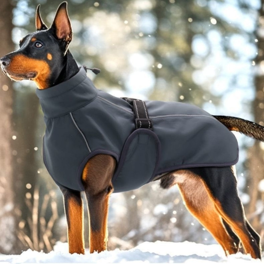 Teddy Autumn And Winter Clothing