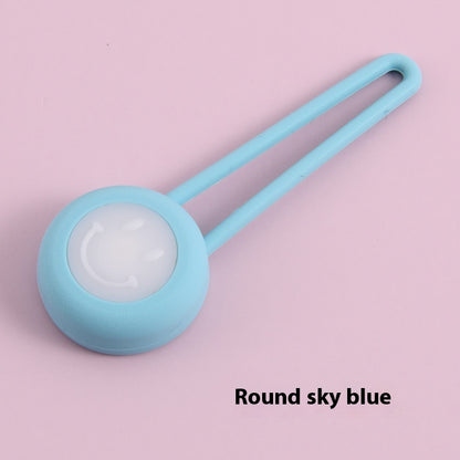 Pet Light-emitting Pendant