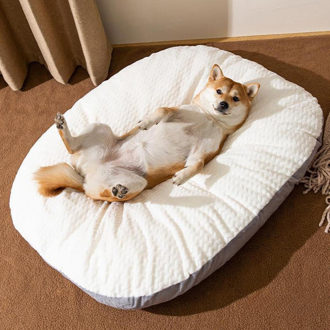 Oval Shape Cushion