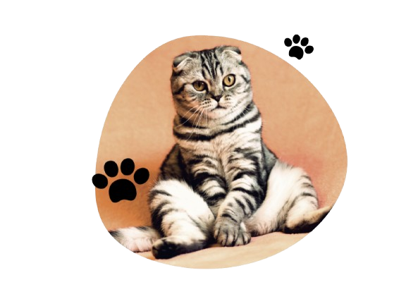 Our Story Default Image